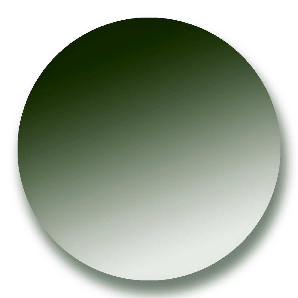 Sunglasses Lens Tint