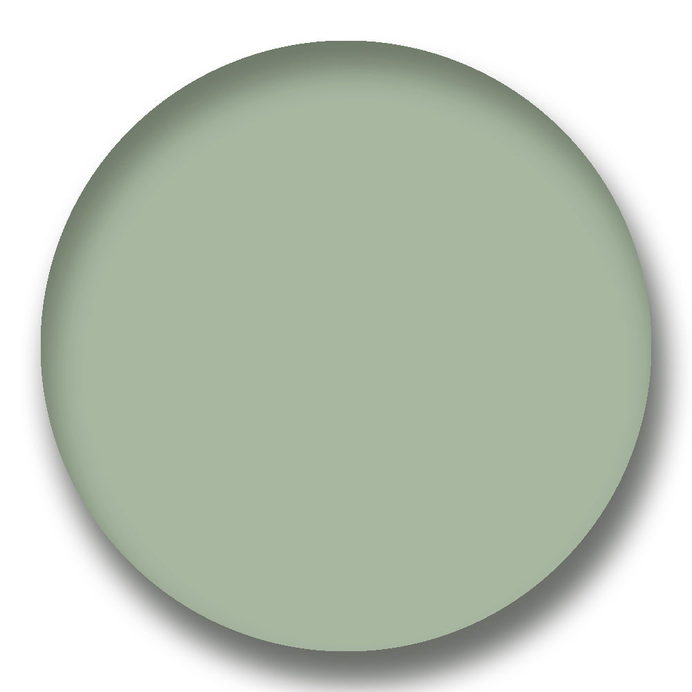 Sunglasses Lens Tint