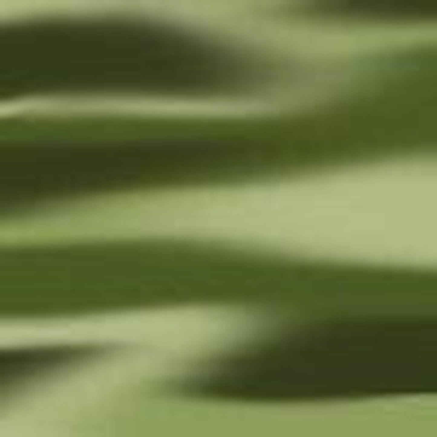 Green Stripe-swatch