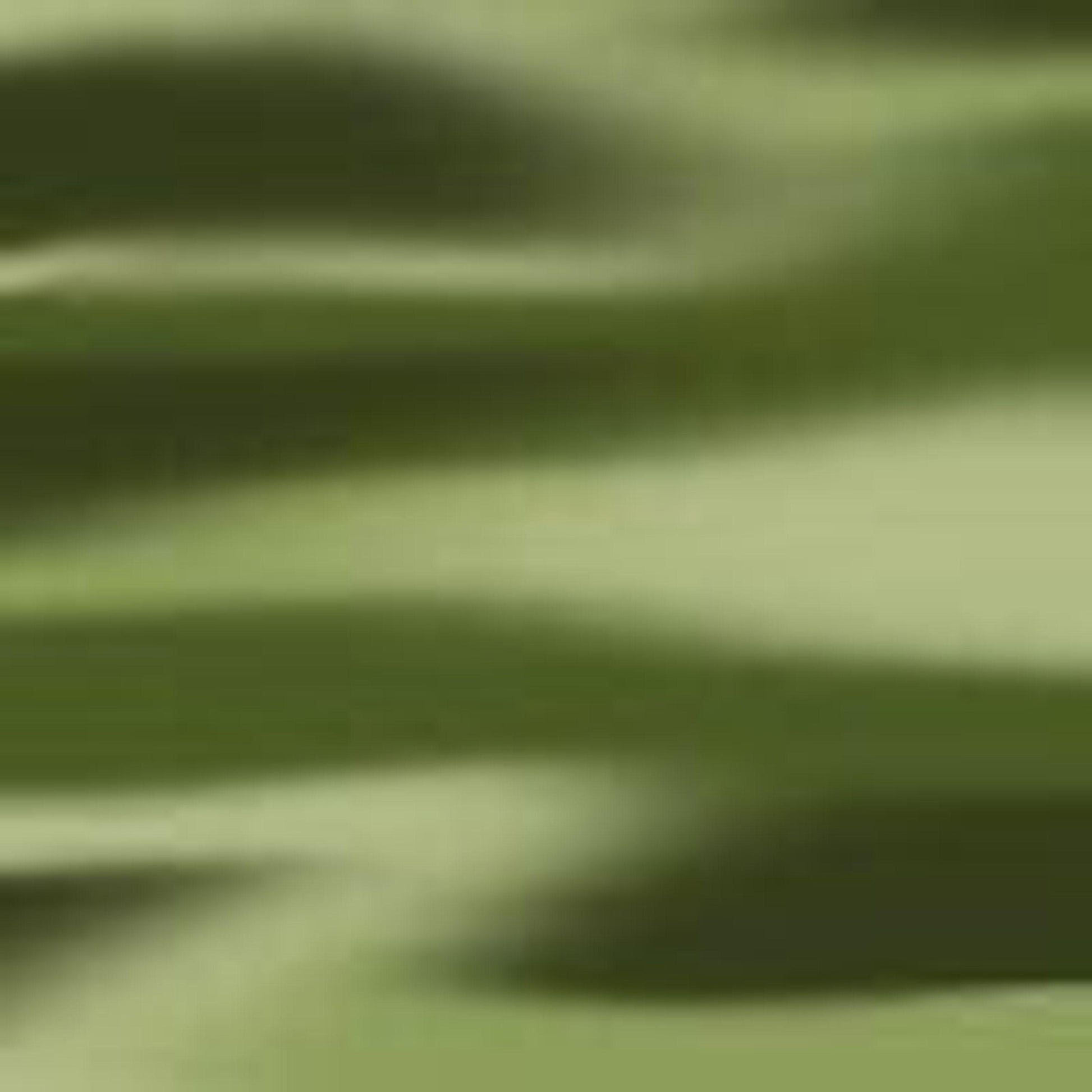 Green Stripe-swatch