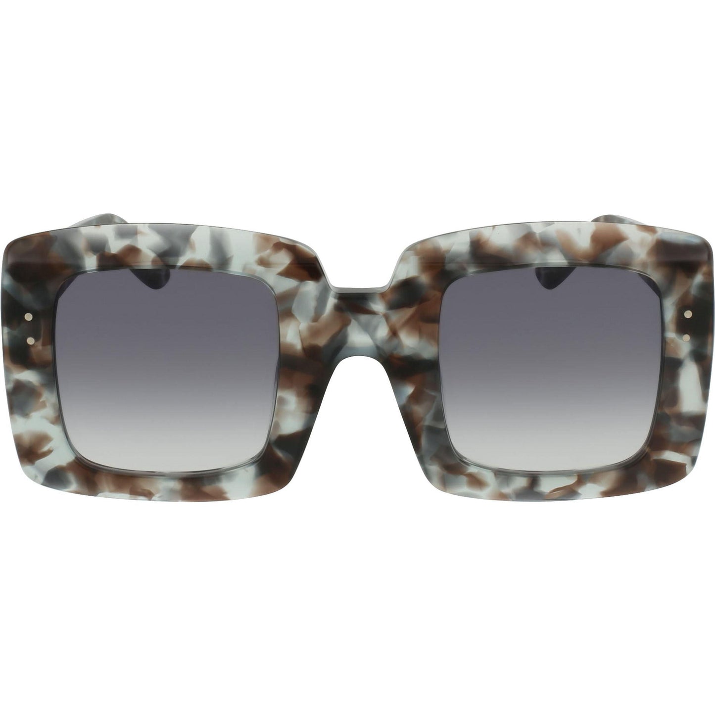 Grey Tortoise