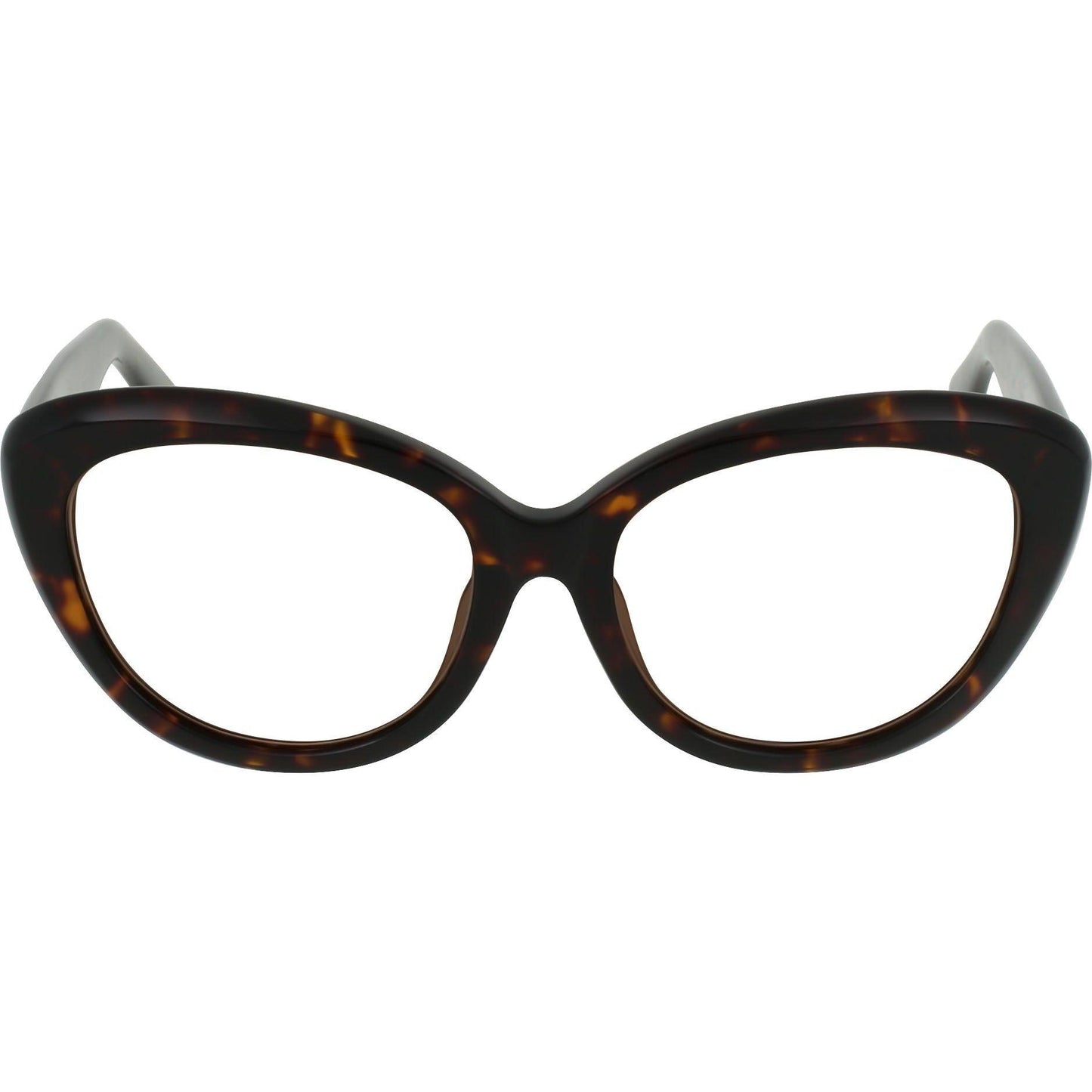 Dark Tortoise