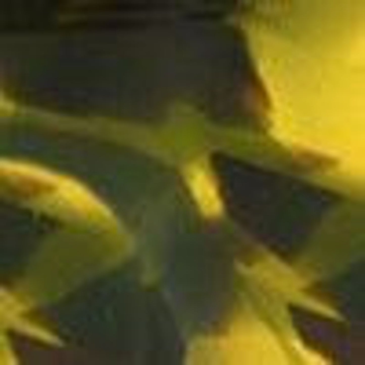 Yellow Tortoise-swatch