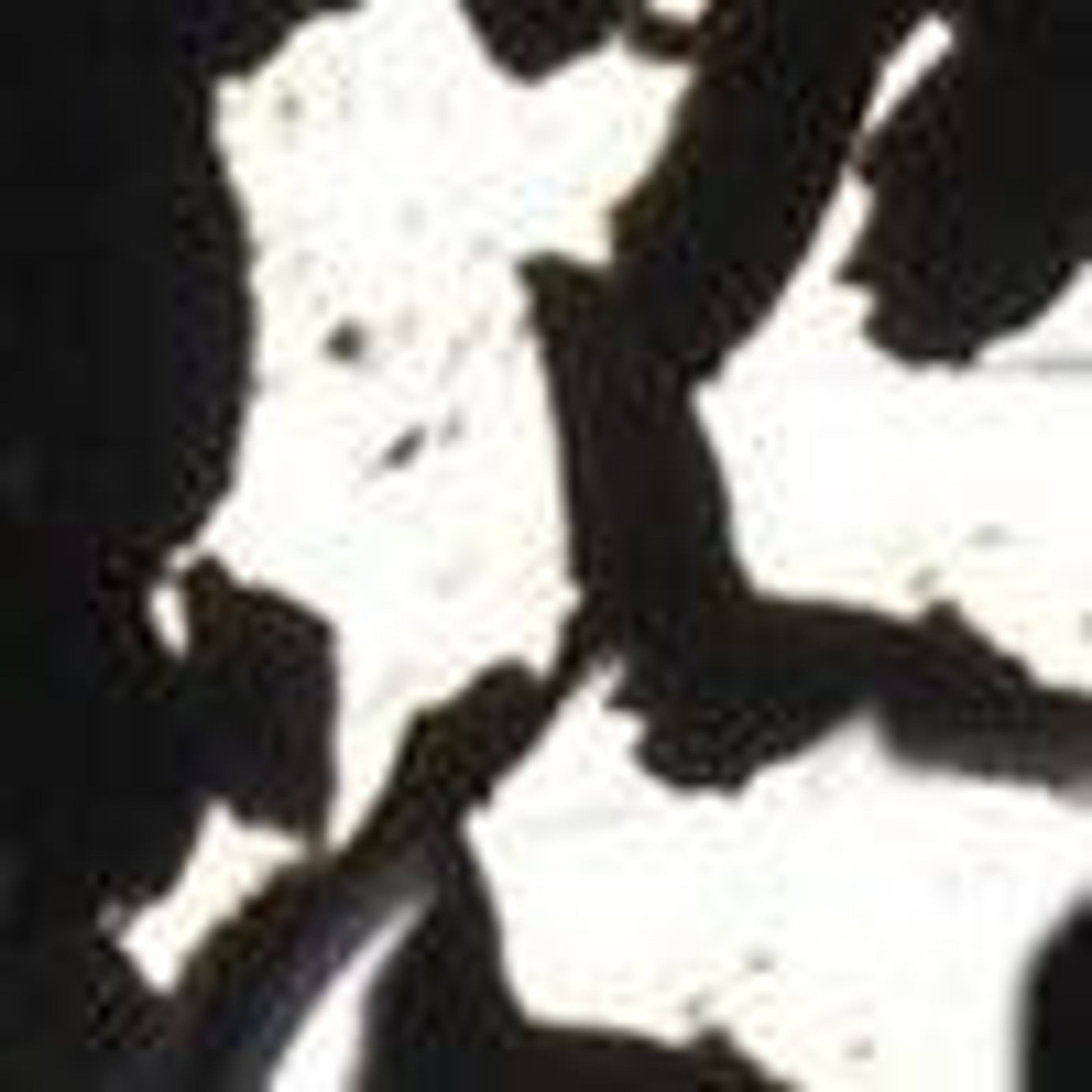 Black Ice-swatch