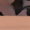 Rosé Noir swatch