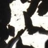Black Ice swatch