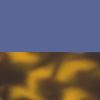 Tortoise Blue swatch