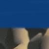 Blue-swatch