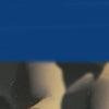 Blue-swatch