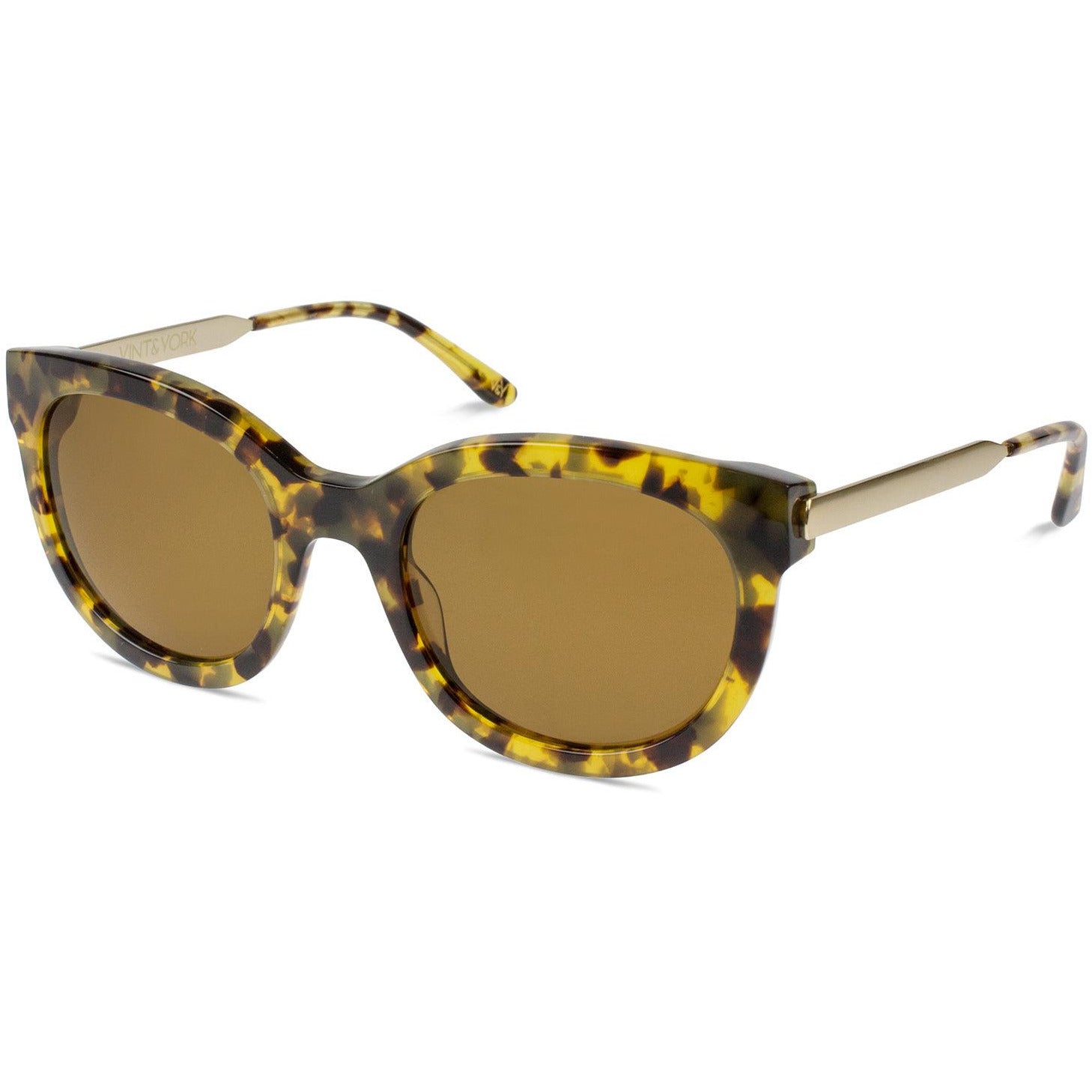 Yellow Tortoise side