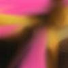 Pink Tortoise-swatch
