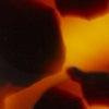 Amber Tortoise Shell-swatch